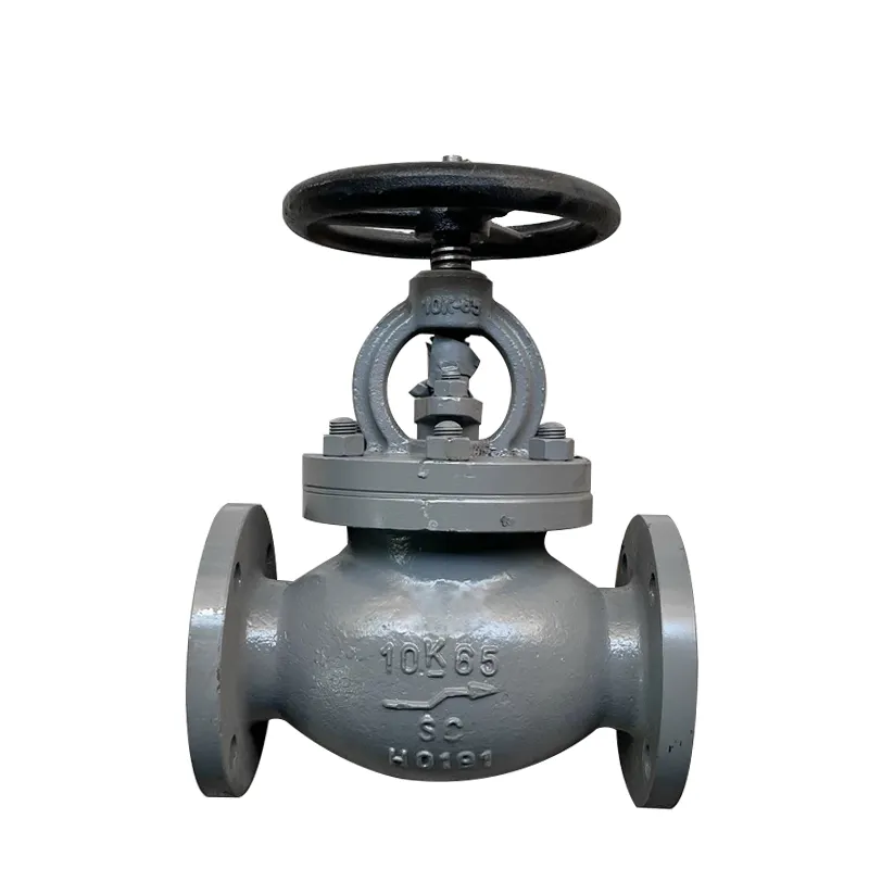 Marine JIS Gusseisen-Flansch-Gate-Ventil2