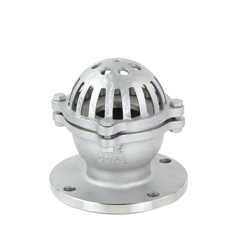 Stainless Steel Flanged Foot Valve with Strainer 3