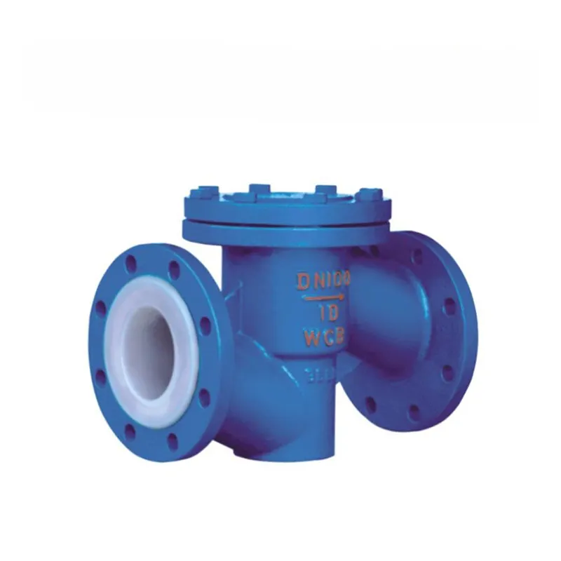 lined check valve2