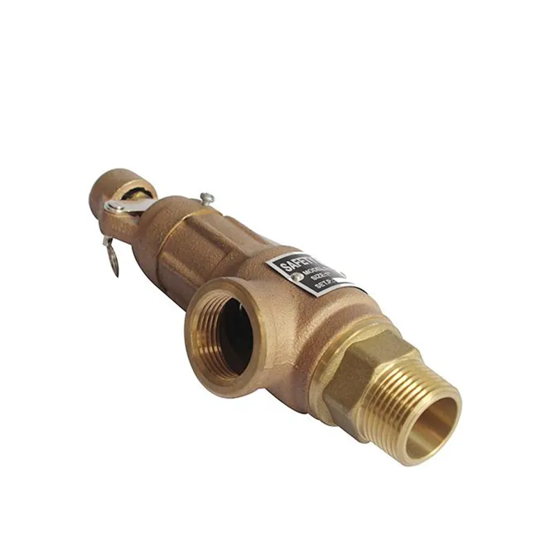Bronze Safety Valve1