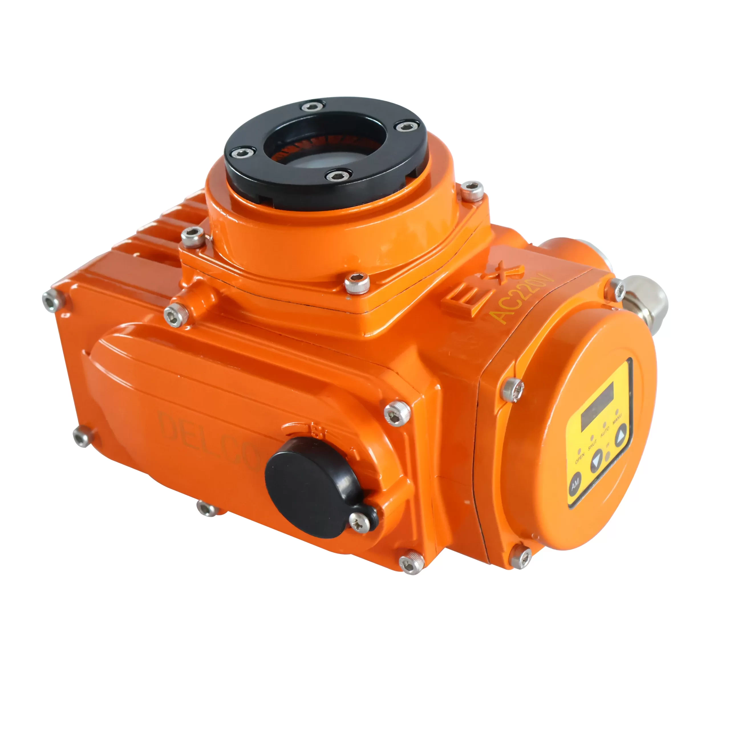 DELCO DKS-IP67 Electric Actuator 3