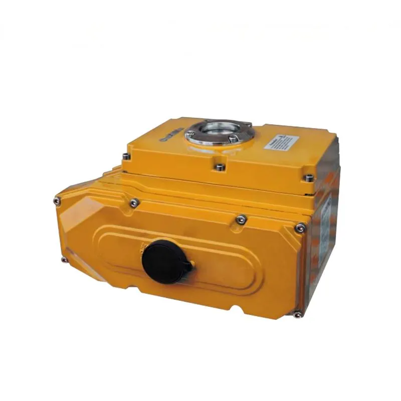 DELCO DKV-IP67 Small Electric Actuator 1