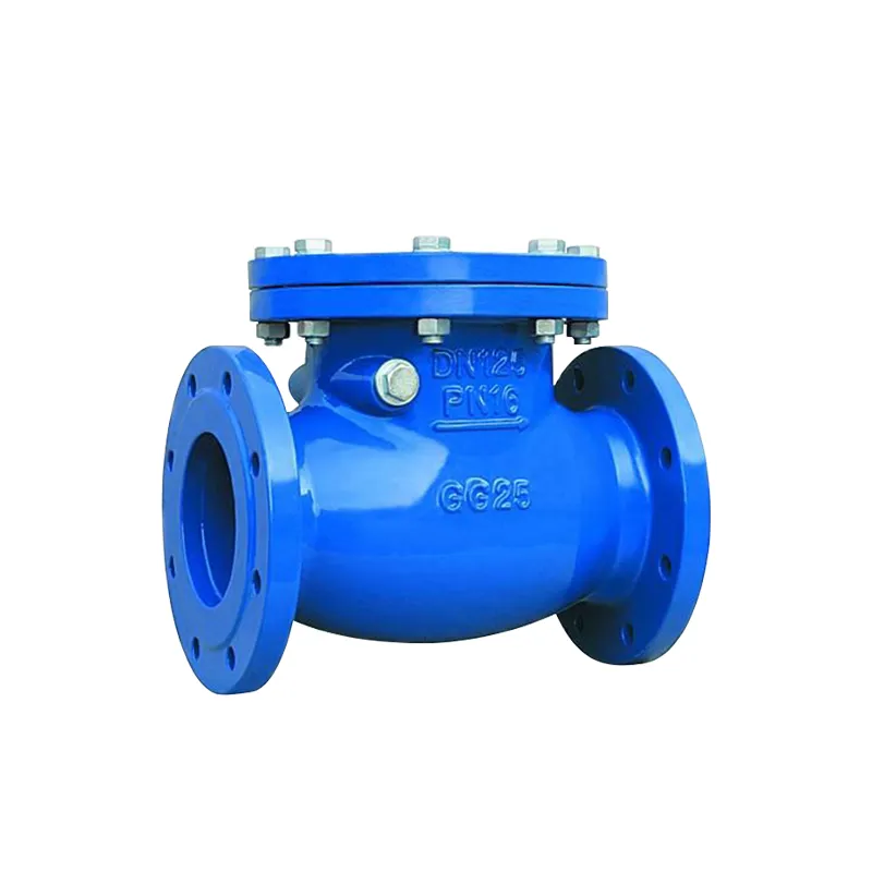 Swing type cast steel flange check valve 2