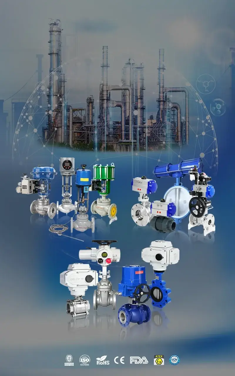 https://de.delcovalves.com/wp-content/uploads/2026/08/China-Valve-Manufacturer-21-Years-of-Manufacturing-Experience.webp